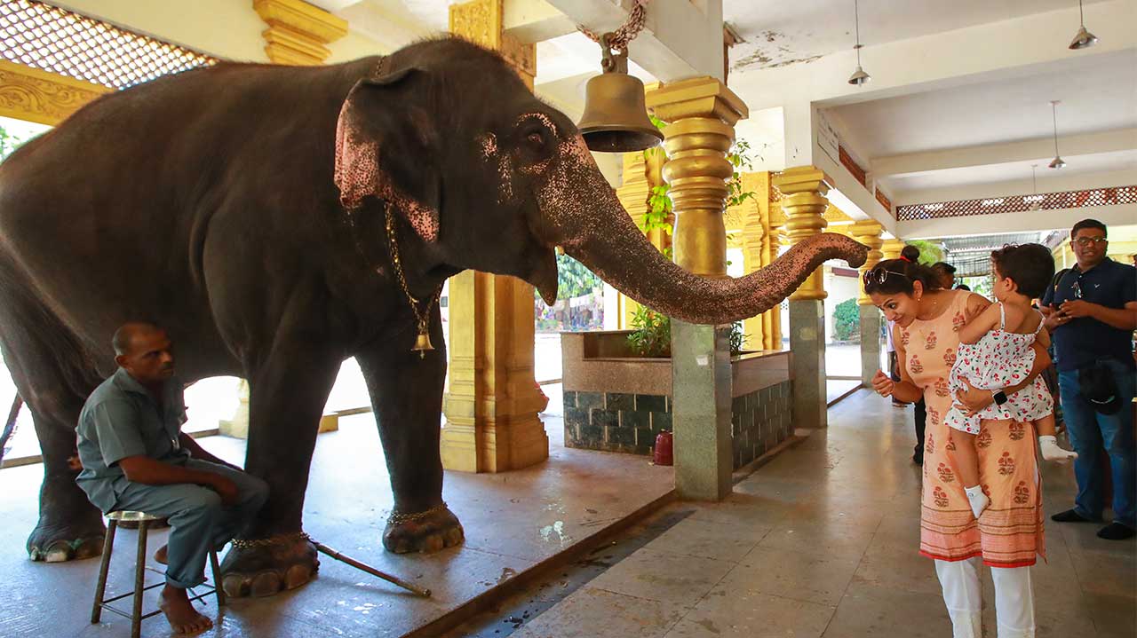 Book a Moodbidri tour
