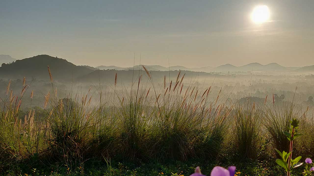Plan your nature trip